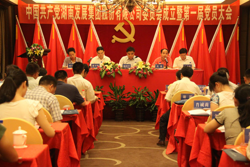 中共华体app网页版委员会成立大会暨公司第一届党员代表大会胜利召开